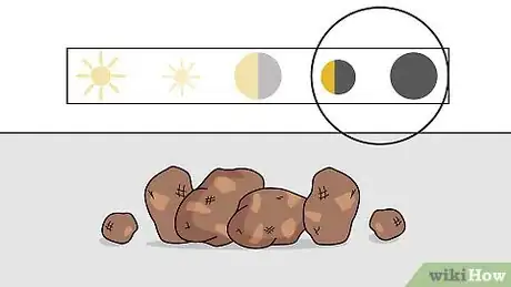 Image intitulée Grow Potatoes Step 13