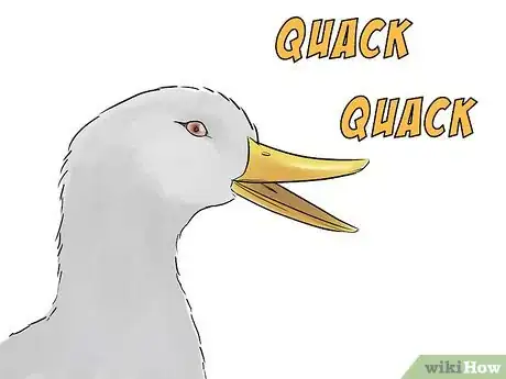 Image intitulée Call Ducks Step 15