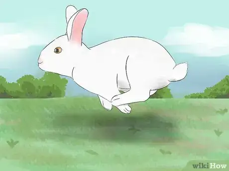 Image intitulée Read Bunny Ear Signals Step 3
