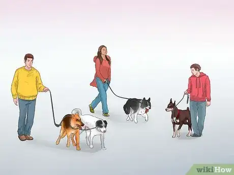 Image intitulée Walk Two Dogs at the Same Time on Leashes Step 10