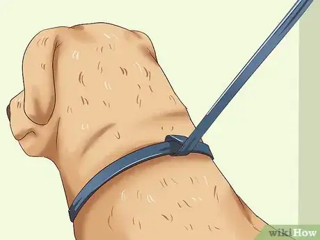 Image intitulée Prevent Dog Bites Step 16