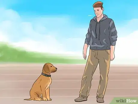 Image intitulée Teach a Dog to Crawl Step 5