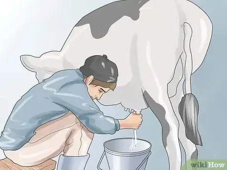 Image intitulée Have a Pet Cow Step 15