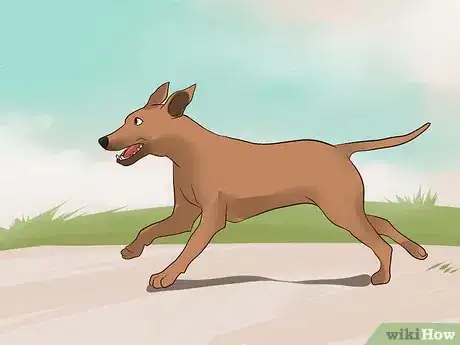 Image intitulée Stop Your Dog from Biting Other People Step 11