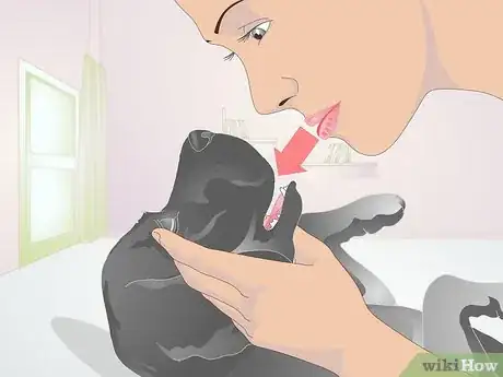Image intitulée Perform CPR on a Dog Step 7