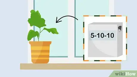 Image intitulée Plant Mums Step 16