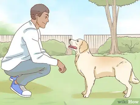 Image intitulée Pet a Dog Step 4