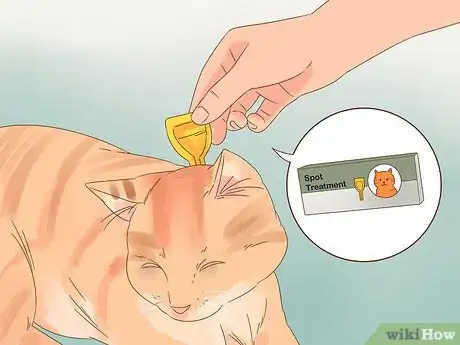 Image intitulée Reduce Cat Dander Step 3