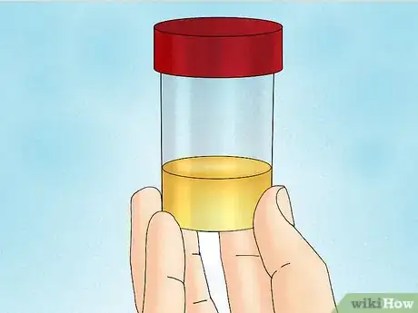 Image intitulée Get a Urine Sample from a Male Dog Step 11