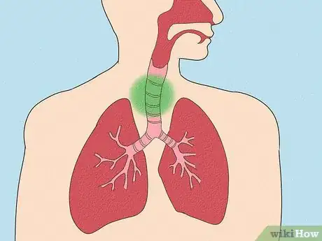 Image intitulée Take Clenbuterol Step 4