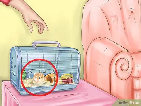Image intitulée Care for Roborovski Hamsters Step 18