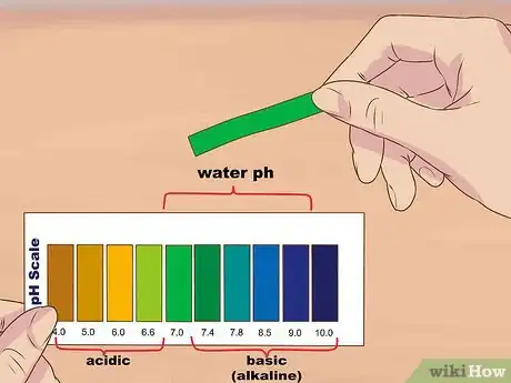 Image intitulée Make Alkaline Water Step 4