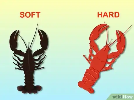 Image intitulée Eat Lobster Step 1