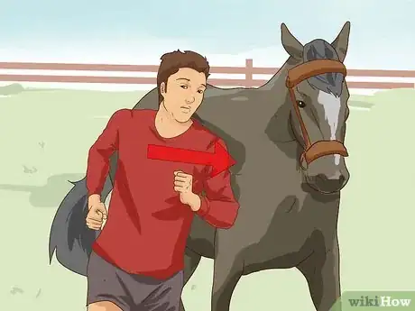 Image intitulée Break a Horse Step 17