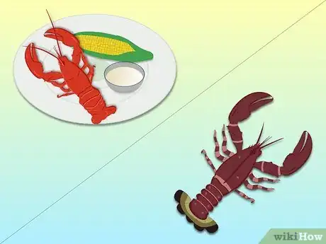 Image intitulée Eat Lobster Step 3