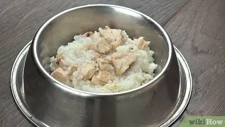 Image intitulée Prepare Chicken and Rice for Dogs Step 13