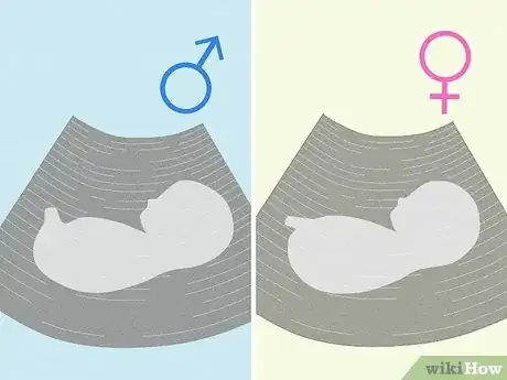 Image intitulée Tell if You're Pregnant with a Girl or Boy Step 19