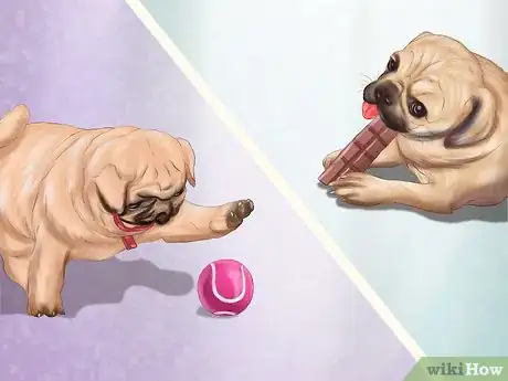 Image intitulée Live with a Pug Dog Step 20