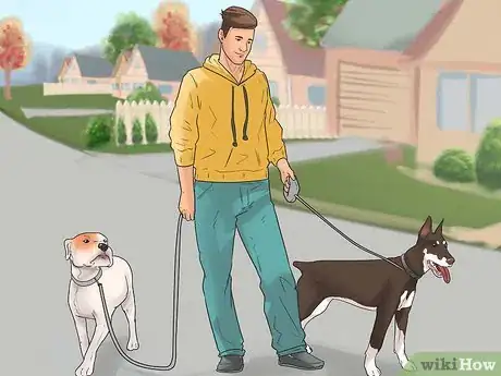 Image intitulée Walk Two Dogs at the Same Time on Leashes Step 11