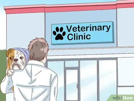 Image intitulée Care for a Dog's Torn Ear Step 10