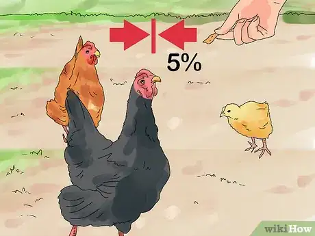 Image intitulée Worm Chickens Step 13