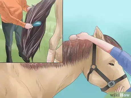 Image intitulée Prepare for a Horse Show Step 3