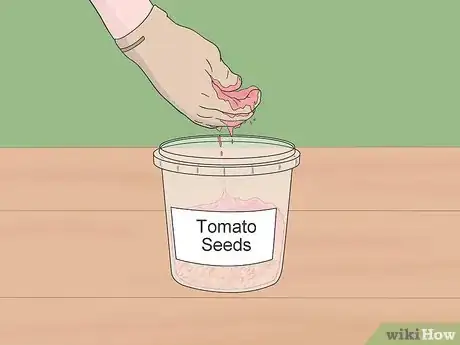 Image intitulée Grow Tomatoes from Seeds Step 6