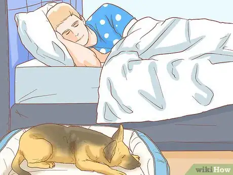 Image intitulée Stop Your Dog from Waking You Up at Night Step 12