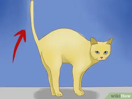 Image intitulée Understand Your Cat's Body Language Step 9