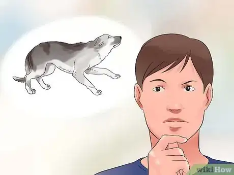 Image intitulée Approach a Shy or Fearful Dog Step 1
