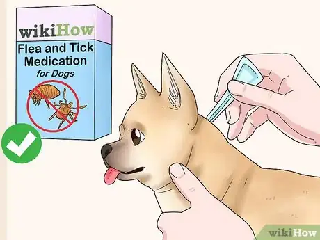 Image intitulée Stop a Dog from Biting Its Tail Step 15