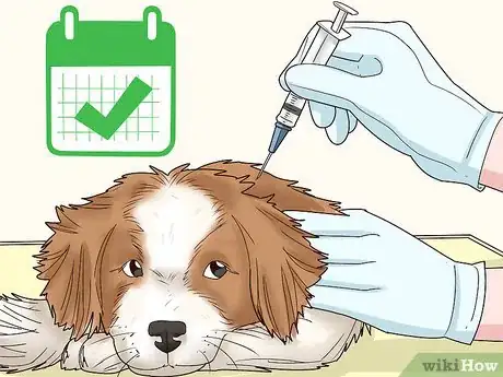 Image intitulée Stop a Dog from Biting Its Tail Step 14