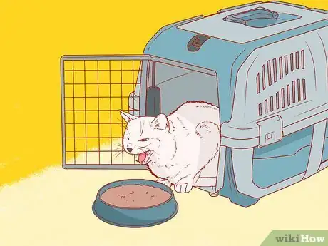 Image intitulée Get a Cat Into a Pet Carrier Step 11