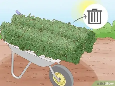 Image intitulée Remove an Ivy Plant Step 5
