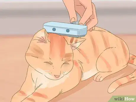 Image intitulée Reduce Cat Dander Step 1