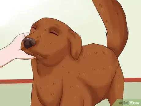 Image intitulée Prevent Dog Bites Step 14