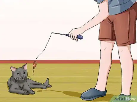 Image intitulée Get a Cat to Stop Meowing Step 8