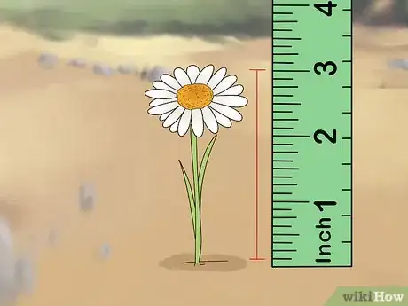 Image intitulée Identify Wildflowers Step 9