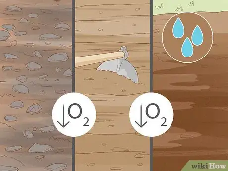 Image intitulée Why Does Your Soil Smell Like Ammonia Step 3