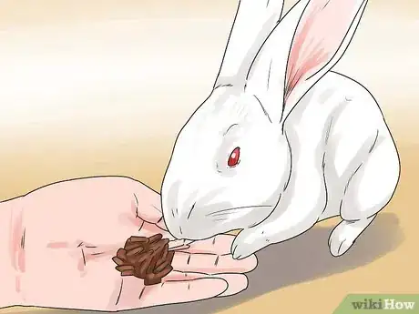 Image intitulée Breed Rabbits Step 14
