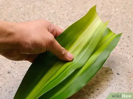 Image intitulée Cook Mahi Mahi Step 1