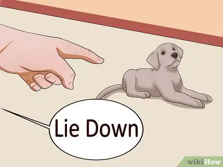 Image intitulée Teach Your Puppy to Lie Down Step 10