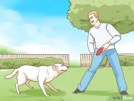 Image intitulée Keep a Dog in Good Health Step 12