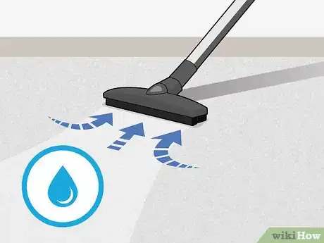 Image intitulée Clean Your Carpets Step 16