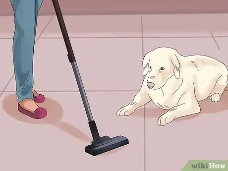 Image intitulée Approach a Shy or Fearful Dog Step 6