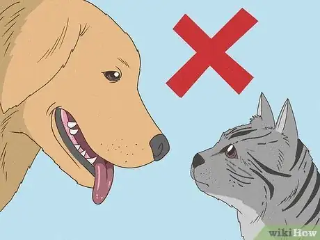 Image intitulée Keep Your Dog Calm After Neutering Step 7