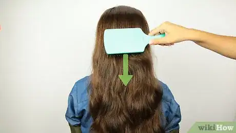 Image intitulée Put Your Hair Up with a Jaw Clip Step 1