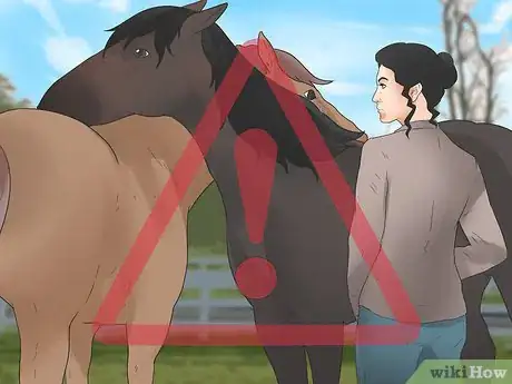 Image intitulée Be Safe Around Horses Step 25