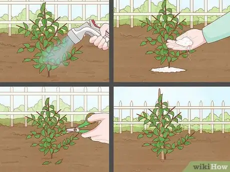 Image intitulée Plant a Garden Step 9