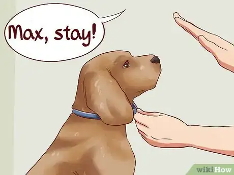 Image intitulée Teach Your Dog Basic Commands Step 7